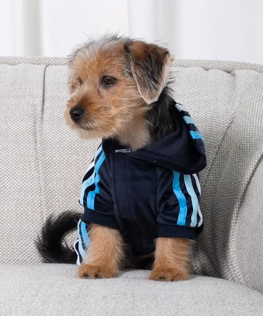 Milo